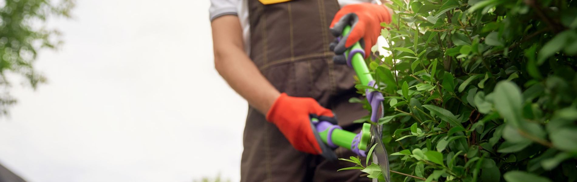 incognito-man-cutting-overgrown-bushes